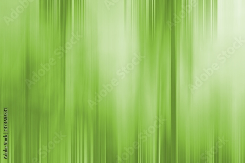 Palm Leaves - Abstract Green Natural Background with Blur