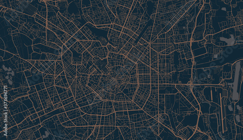 Detailed vector map of Milan, Italy