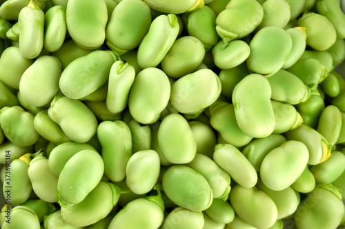 Fresh and organic raw fava, broad beans