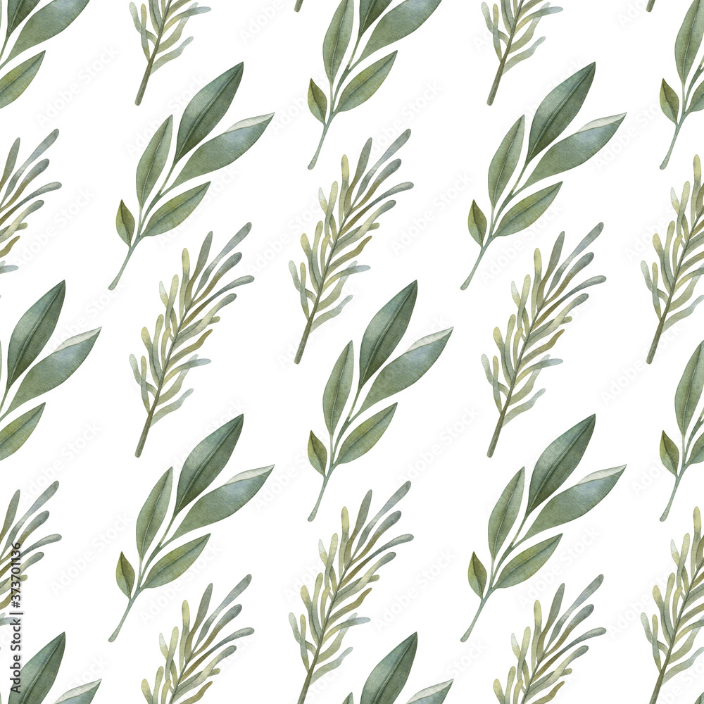 Watercolor seamless pattern with sage and rosemary  on the light background. Bright cartoon hand-painted illustration.