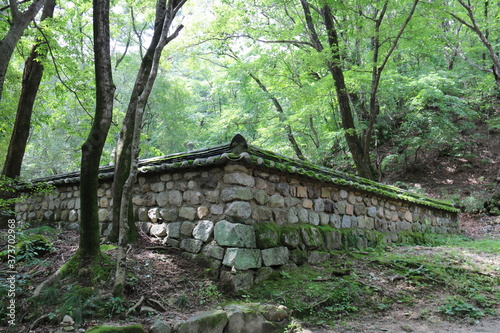 old wooden bridge