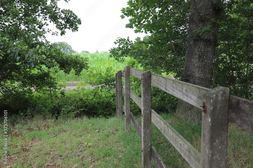 Close to a wooden gate over a green field between woods.