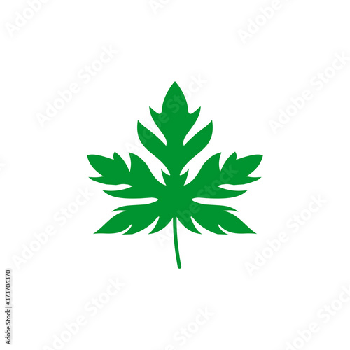 Papaya leaf logo design template
