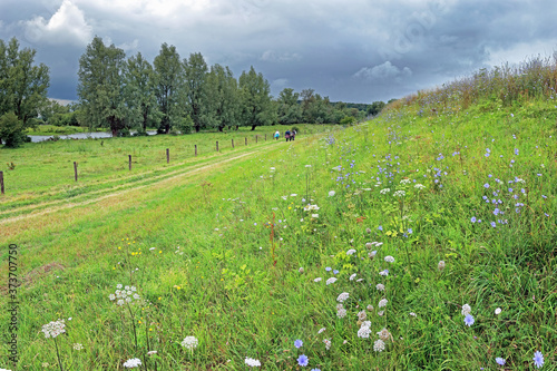 Dike covered with summer flowers; hikers walk towards a thunderstrorm photo