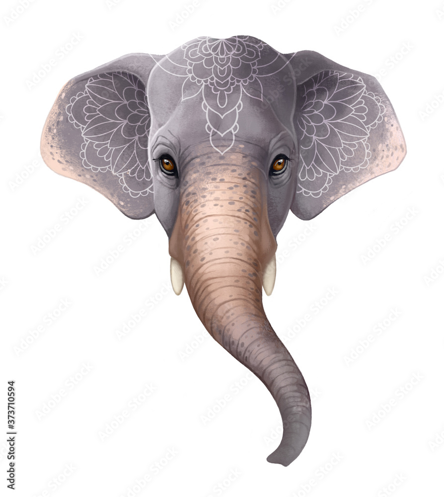 Obraz premium Elephant head with mandala design. Clip art isolated on white background.