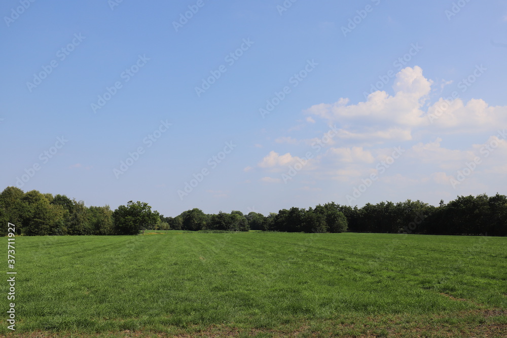 Beautiful blue sky over a Dutch meadow with forest edge. Beautiful blue sky over a Dutch meadow with forest edge.