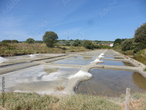 Marais salants en Vendée