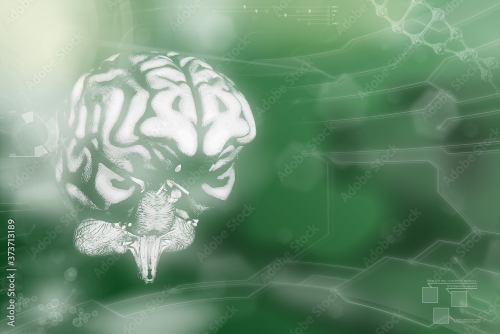 Medical 3D illustration - human brain, cerebrum analysis concept - detailed modern texture Medical 3D illustration - human brain, cerebrum analysis concept - detailed modern texture
