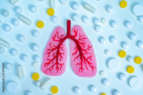 Human lungs surrounded by p...