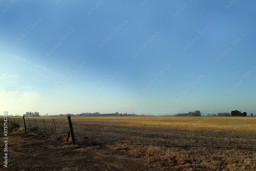 Obraz premium Campo y cielo