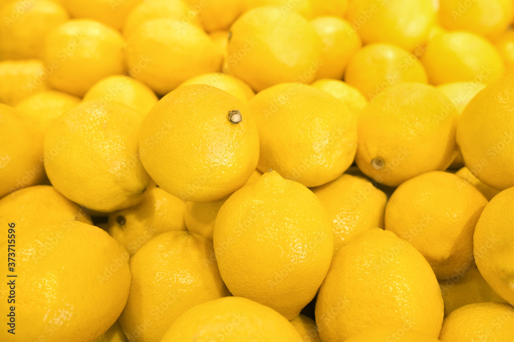 Ripe yellow lemons close-up background. Many yellow lemons, soft and selective focus. Ripe yellow lemons close-up background. Many yellow lemons, soft and selective focus.