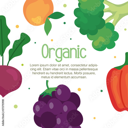 banner of fruits and vegetables organic, concept healthy food vector illustration design
