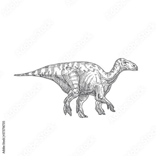 Prehistoric Dinosaur Doodle Vector Illustration. Hand Drawn Iguanodon Reptile Engraving Style Drawing.