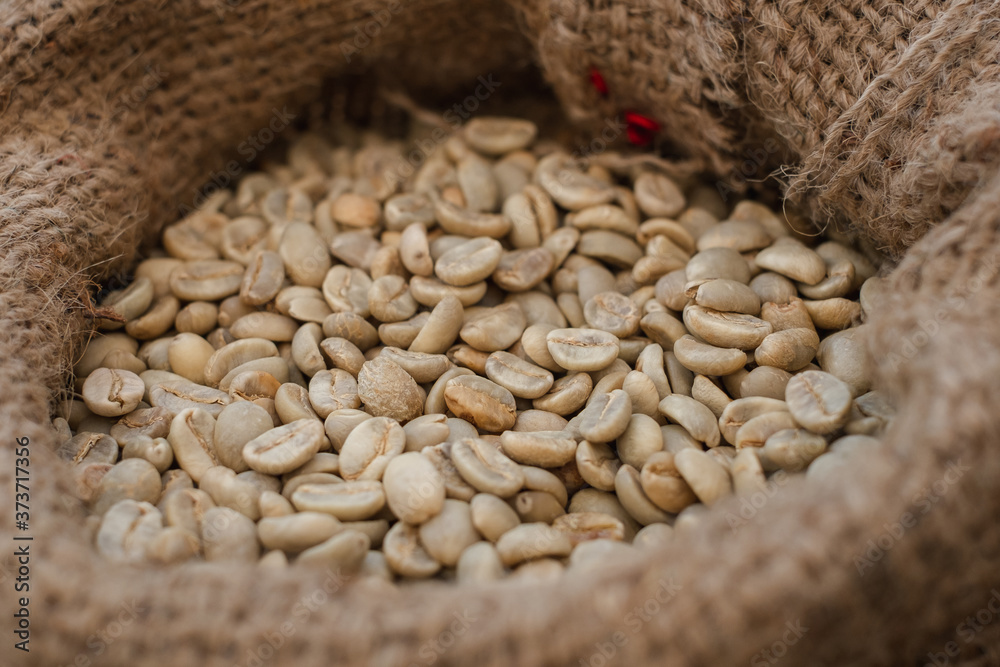 Close up coffee beans are in the bag, out in the outdoors.