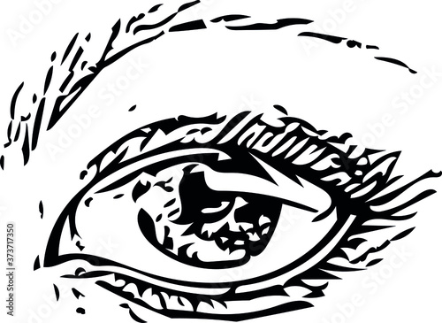  eye vector freehand drawing