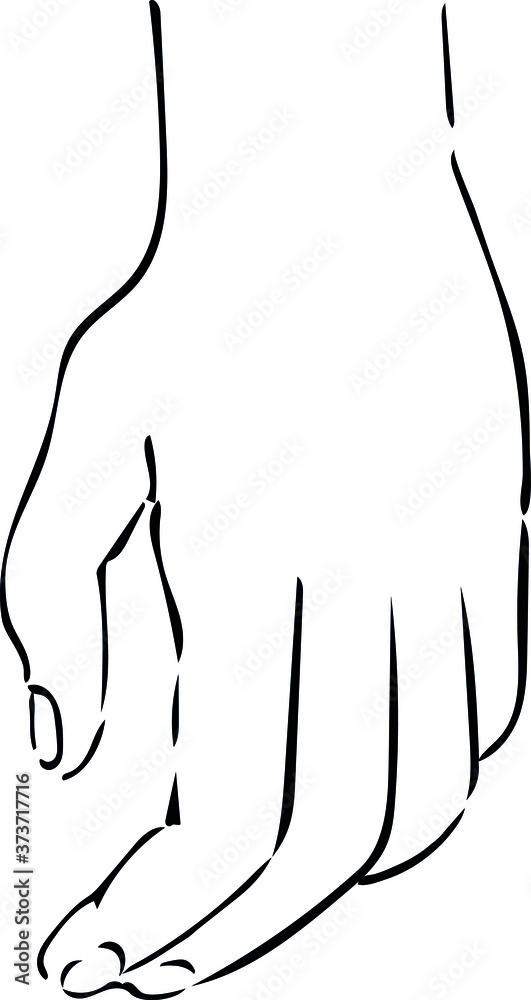 vector image of hand brush vector image of hand brush