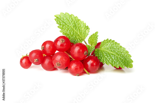 Bunch of cranberry isolated on white background