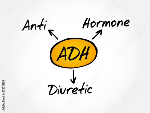 ADH - Antidiuretic Hormone acronym, concept background