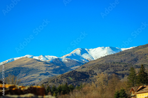 Snowy Mountain in background with mountain forest