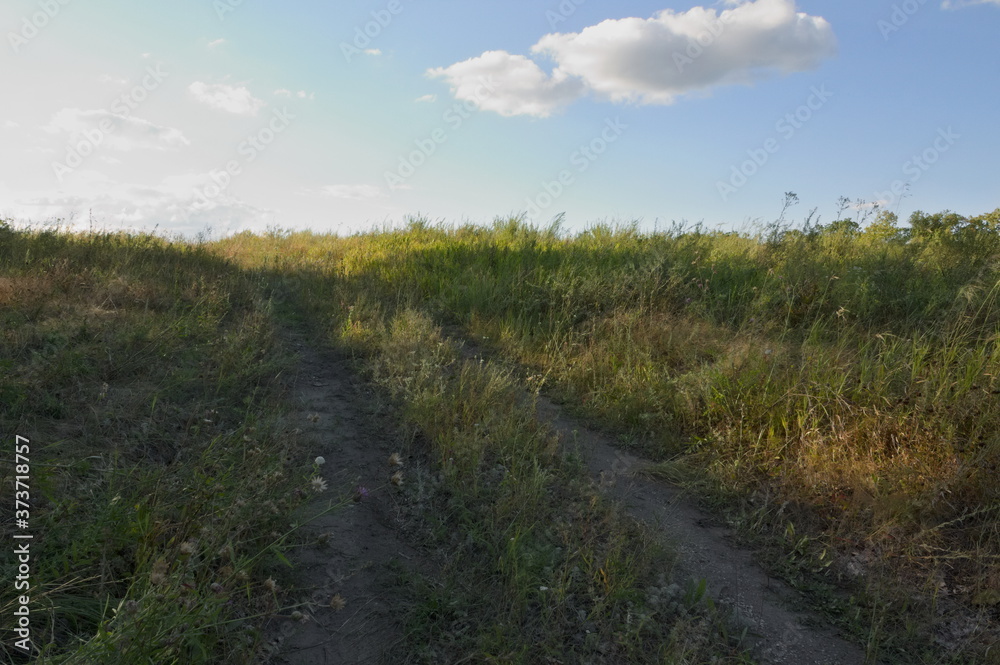 landscape of field and blue skies with cumulus clouds on the background landscape of field and blue skies with cumulus clouds on the background