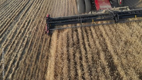 Drone view of a tractor harvesting wheat