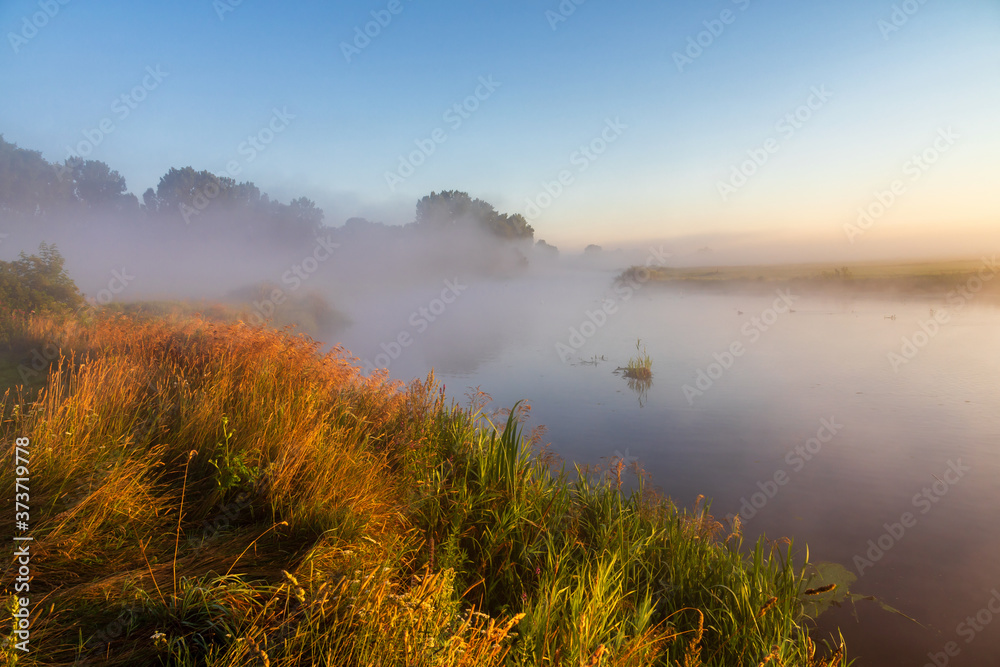 Poranne mgły w Dolinie Narwi, Podlasie, Polska