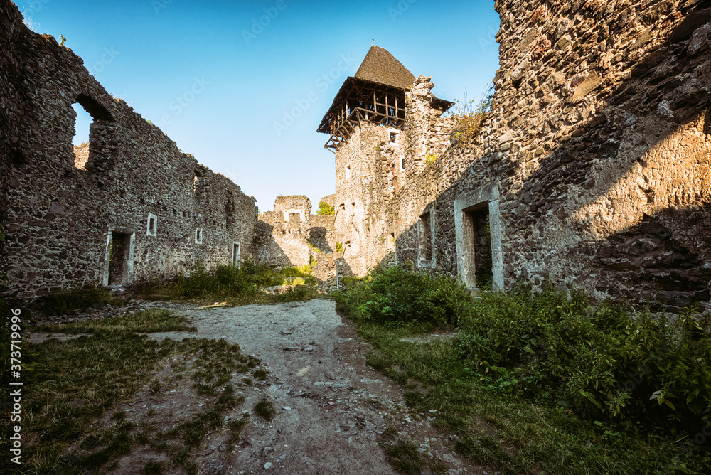 Ruins of medieval castle, old European architectural landmark with stone walls and donjon, mystical place, Nevytsky castle, Transcarpathia, Ukraine, Eastern Europe