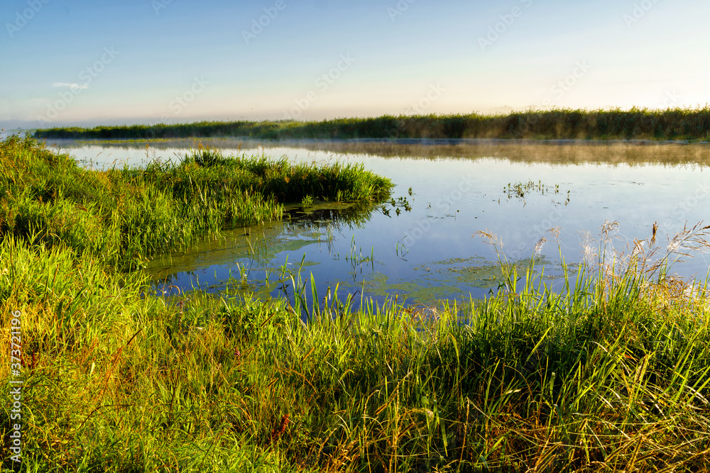 Poranne mgły w Dolinie Narwi, Podlasie, Polska