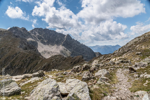 Paysage des Alpes © Bernard