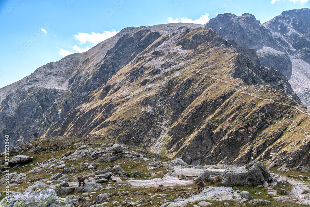 Paysage des Alpes