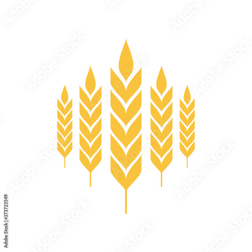 Rice symbol. Oat symbol vector. wallpaper. logo design.