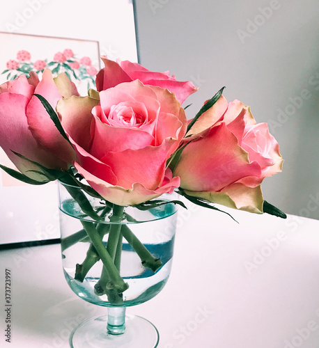 Roses