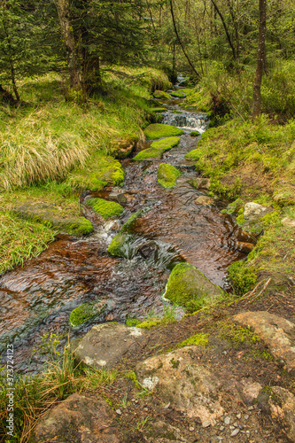 Little river in forest at Harz Mountains National Park, Germany