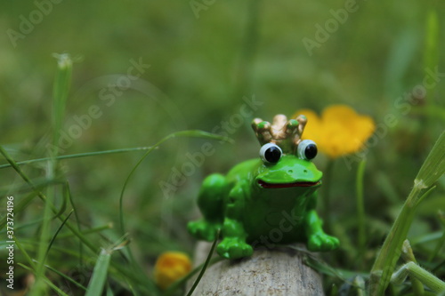 Froschkönig sitzt auf einem Zweig im Gras