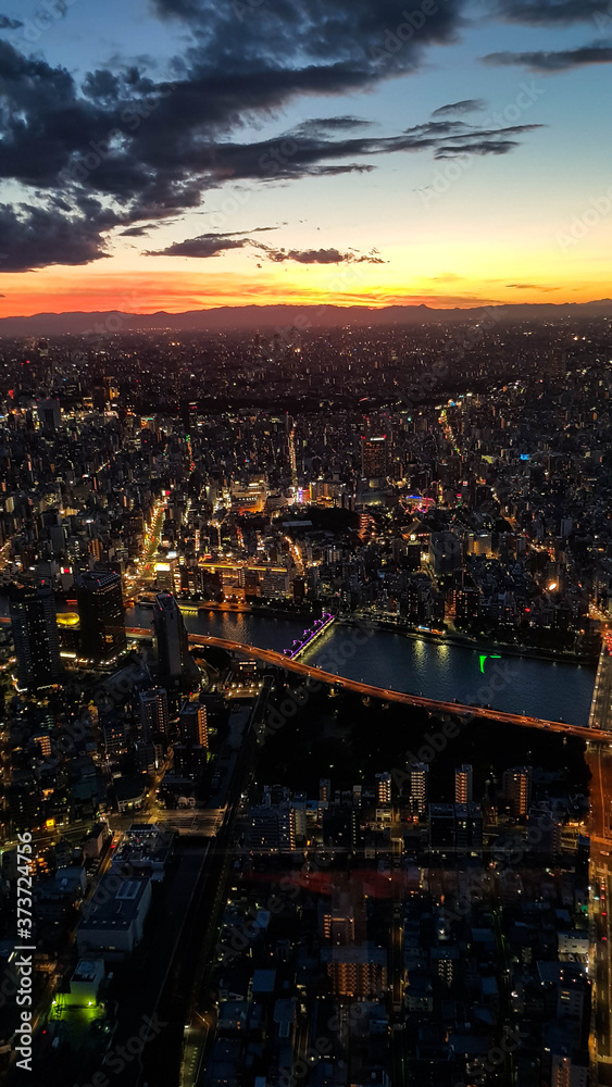 tokyo from the top