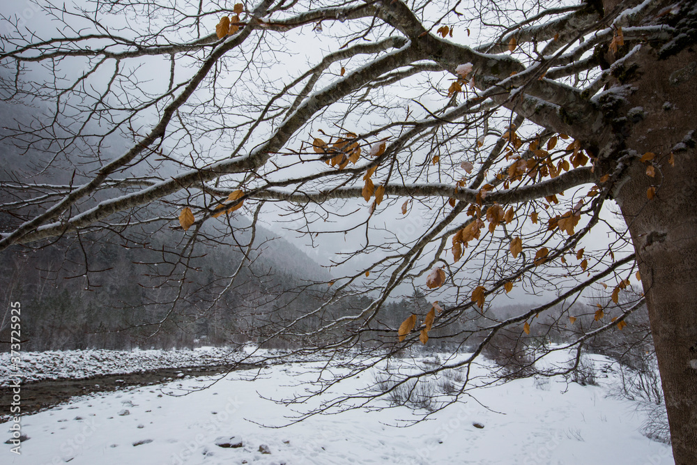 Winter in Ordesa and Monte Perdido National Park, Pyrenees, Spain Winter in Ordesa and Monte Perdido National Park, Pyrenees, Spain
