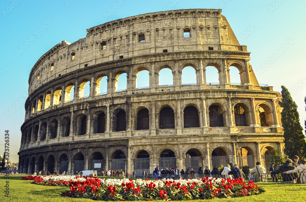 Beautifull red flowers and green grass in roman Coliseum