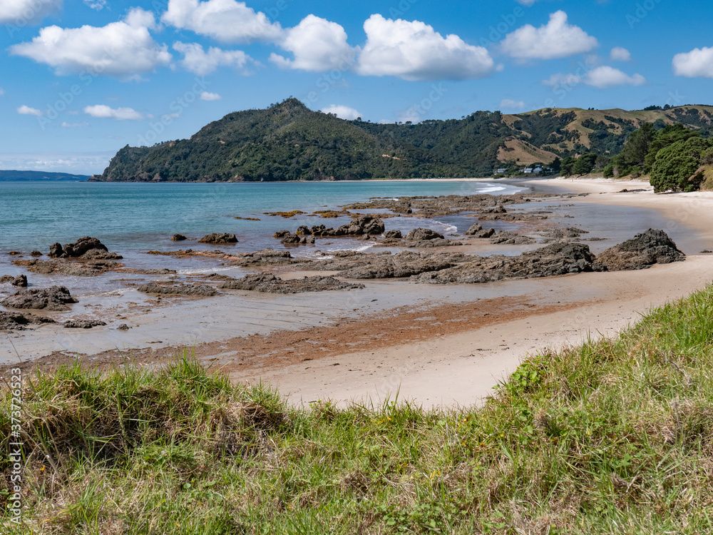 Pauanui loop walk at the New Zealand coast Stock Photo | Adobe Stock