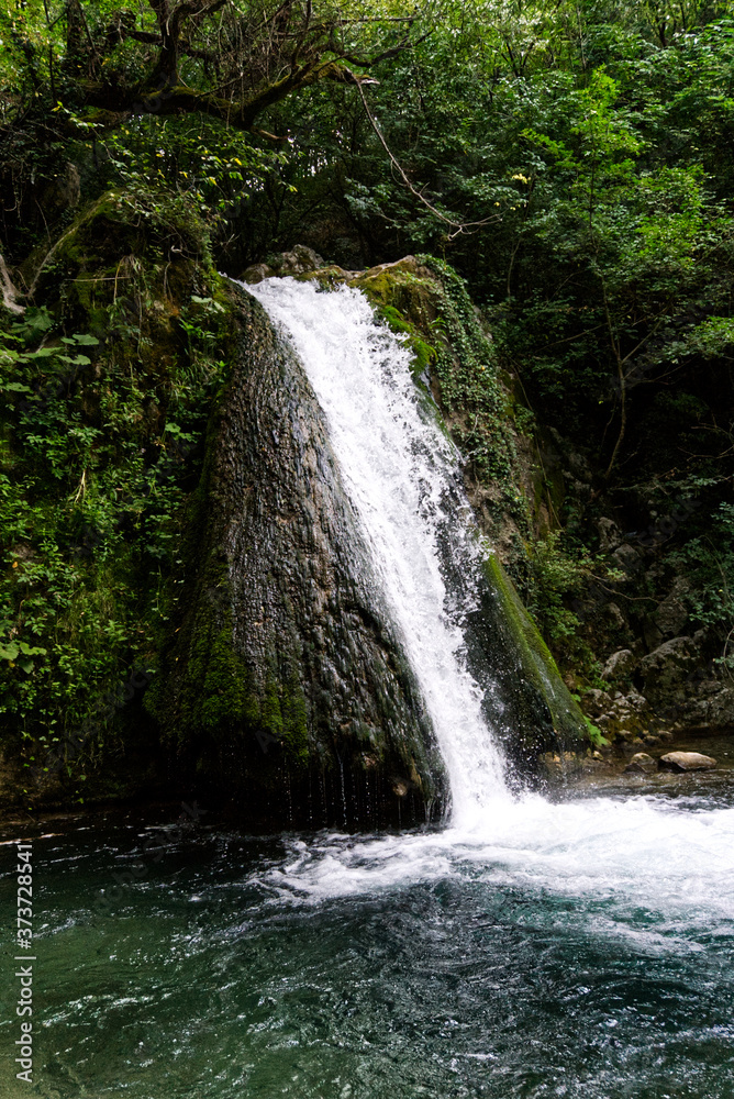 Fototapeta premium Cascata su roccia con panorama verde nel bosco