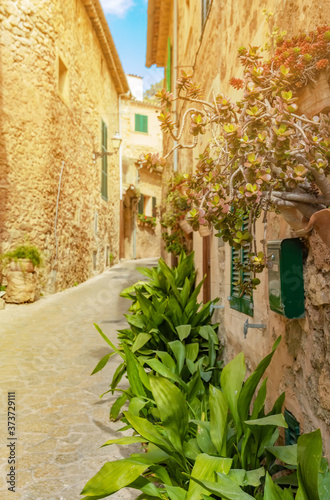 Fototapeta Naklejka Na Ścianę i Meble -  outdoors Valldemossa, famous old mediterranean village of Majorca island Valldemossa, Mallorca, Spain