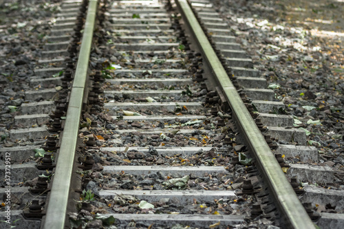 Railroad in the forest. Parallel lines. Perspective on the example of railway rails. Move forward. Travel by train. Rails and sleepers. Land mode of transport. High-speed train. Railway communication.