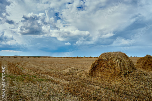 Mown field in late summer © Виталий Дядич