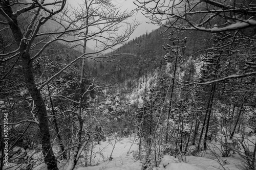Fototapeta Naklejka Na Ścianę i Meble -  Winter in Ordesa and Monte Perdido National Park, Pyrenees, Spain