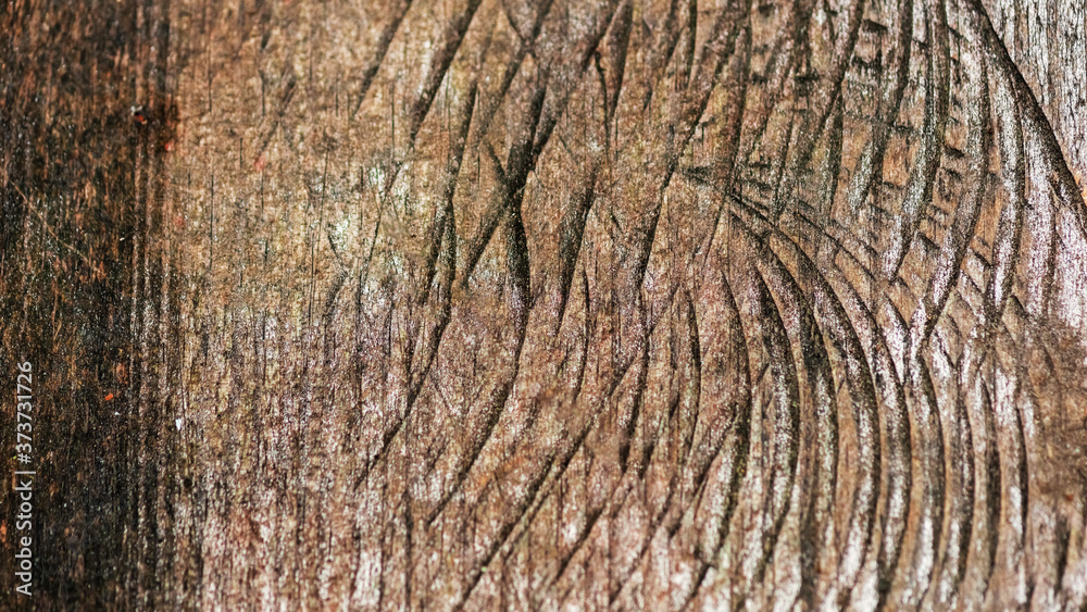 Abstract texture with section of tree trunk Abstract texture with section of tree trunk