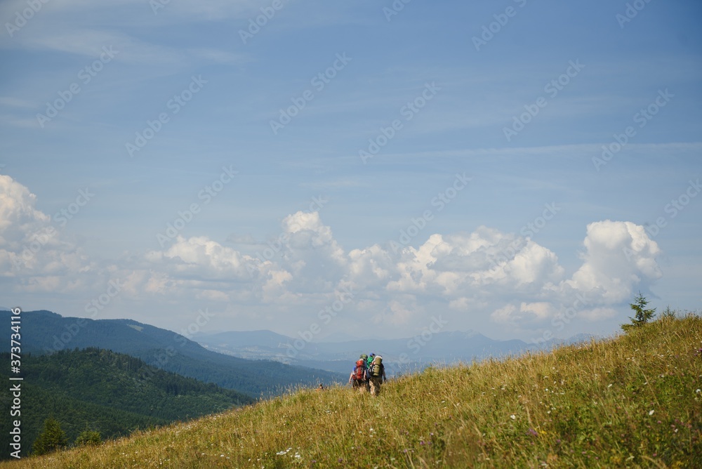 Group of hikers walking on mountain