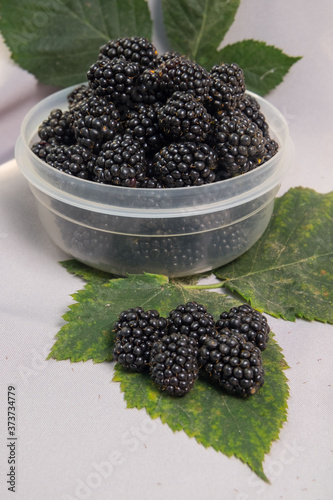 Ripe juicy blackberries