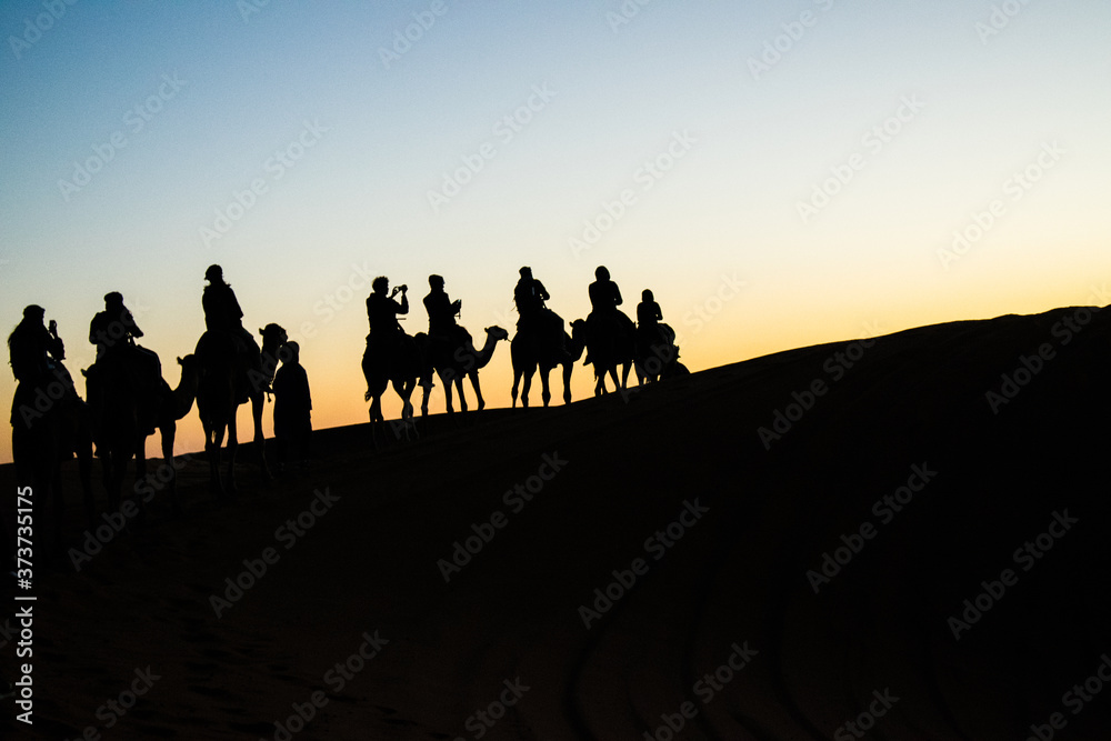 silhouette di persone a dorso di cammello all'alba, nel deserto marocchino di merzouga