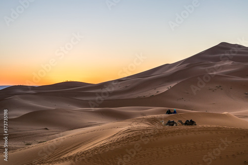 panorama dell'alba nel deserto marocchino di merzouga, con cammelli sdraiati