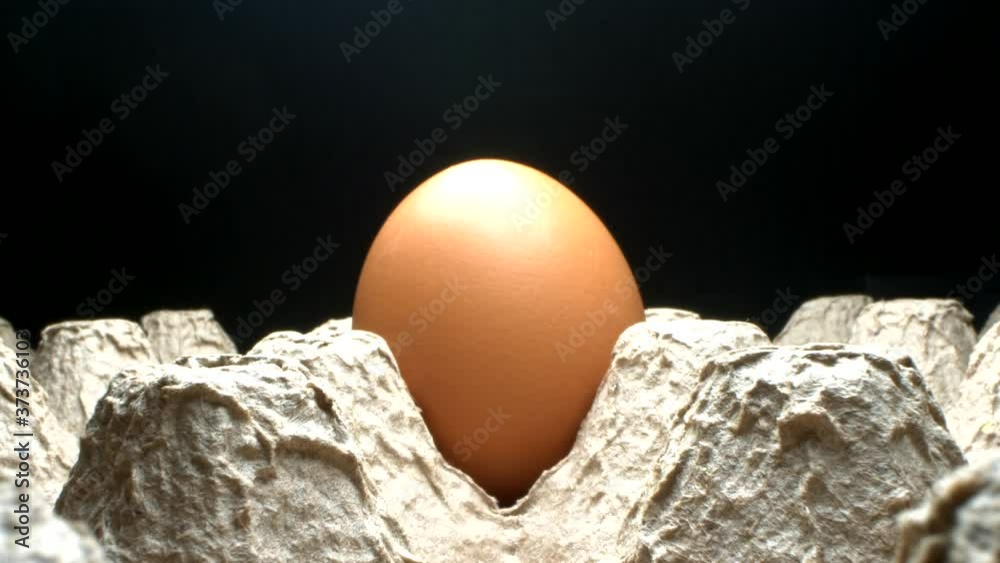 super close up. macro shot . lone brown chicken egg in carton