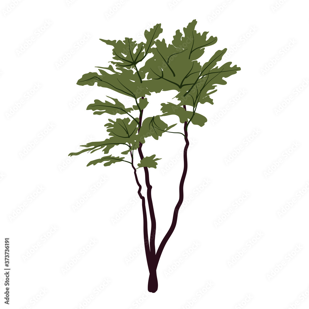 The tree isolated with green leaves on white background flat illustration The tree isolated with green leaves on white background flat illustration
